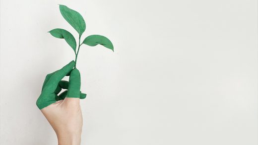 Eco-friendly συνήθειες που μπορούμε να υιοθετήσουμε άμεσα