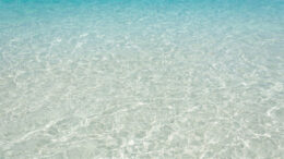 Η παραλία με τα πιο καθαρά νερά στον κόσμο είναι ελληνική