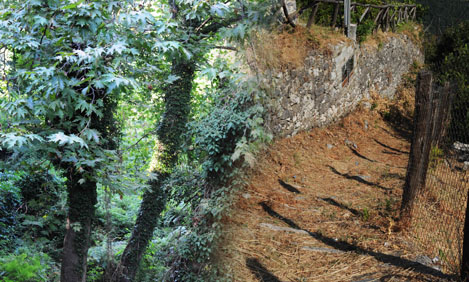 Περιήγηση στο χωριό Κισσός Πηλίου