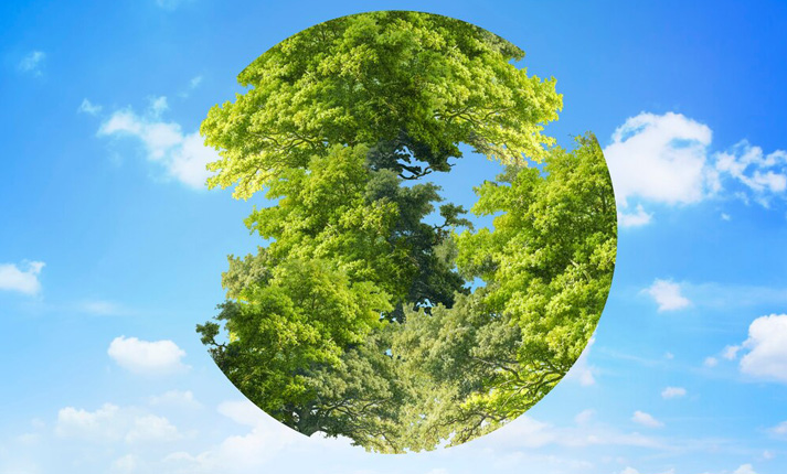 Περιβαλλοντική Βιωσιμότητα: Τι είναι και πώς επιτυγχάνεται;